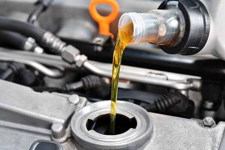 Oil Change and Lube